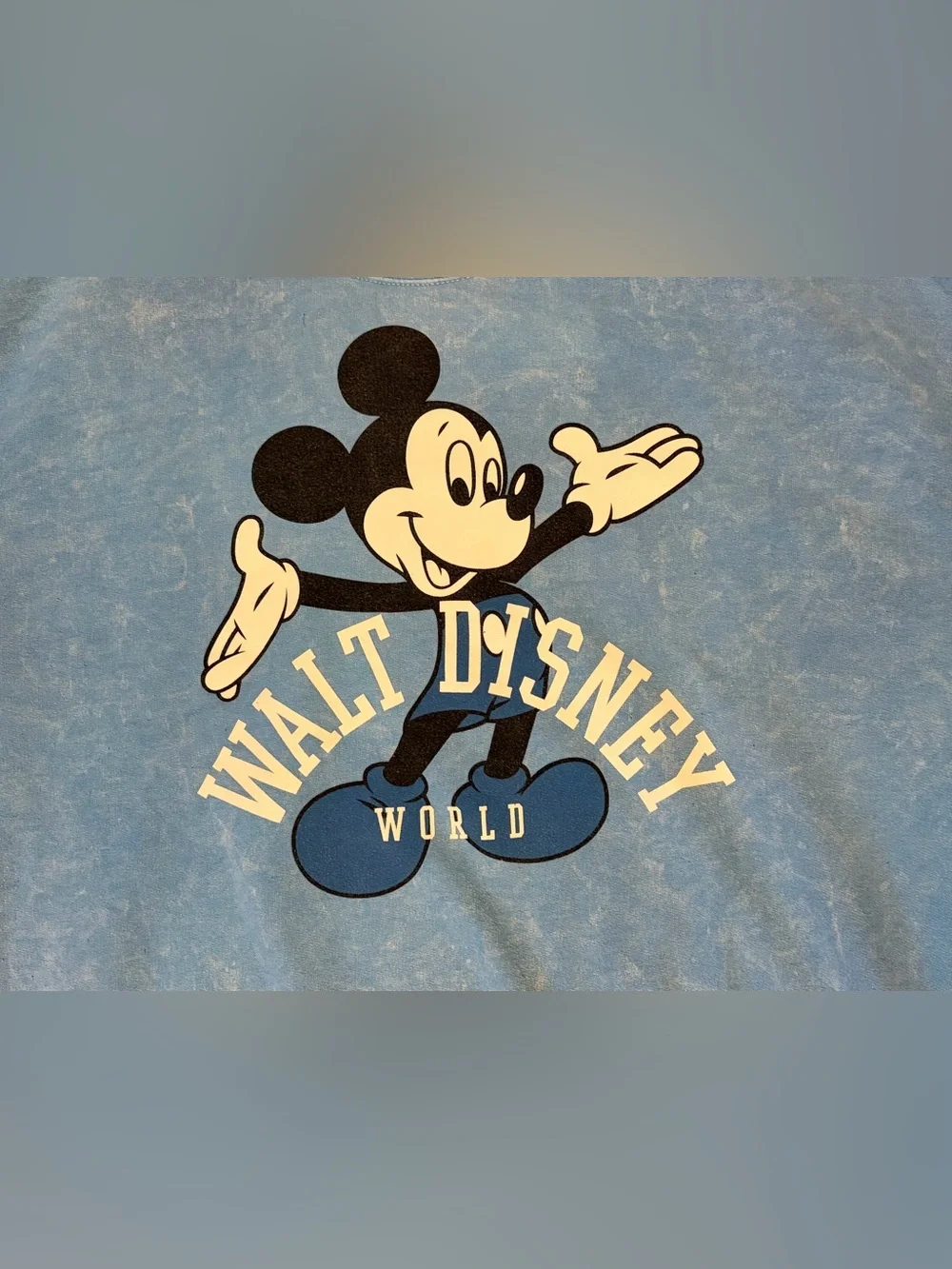 Disney parks sweatshirt
